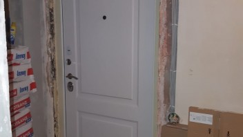 Фото квартирной двери (внутрення панель)