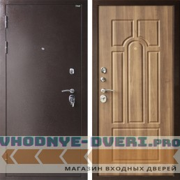 Дверь стальная ГЕСТИЯ
