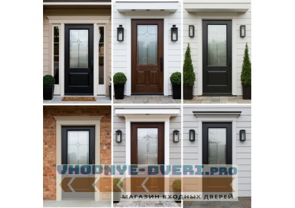  Виды входных дверей