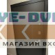 Next 1 c Зеркалом в цвете акация светлая (Двери АСД)