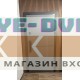Стальная дверь "Бриг с зеркалом" (биометрический Smart lock DZ 888)