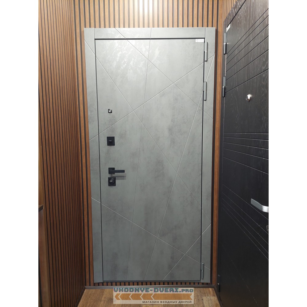 Входная металлическая Дверь АСД "Дуэт Б" с зеркалом