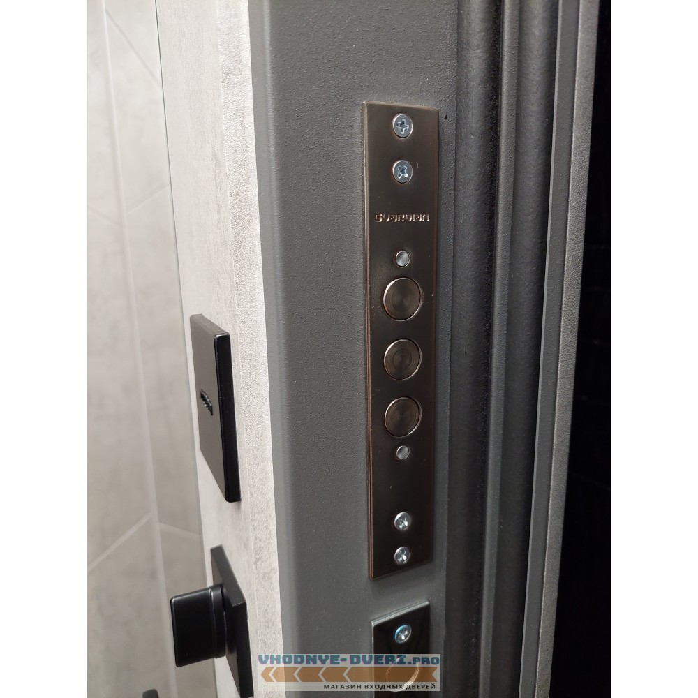 Входная металлическая Дверь АСД "Дуэт Б" с зеркалом