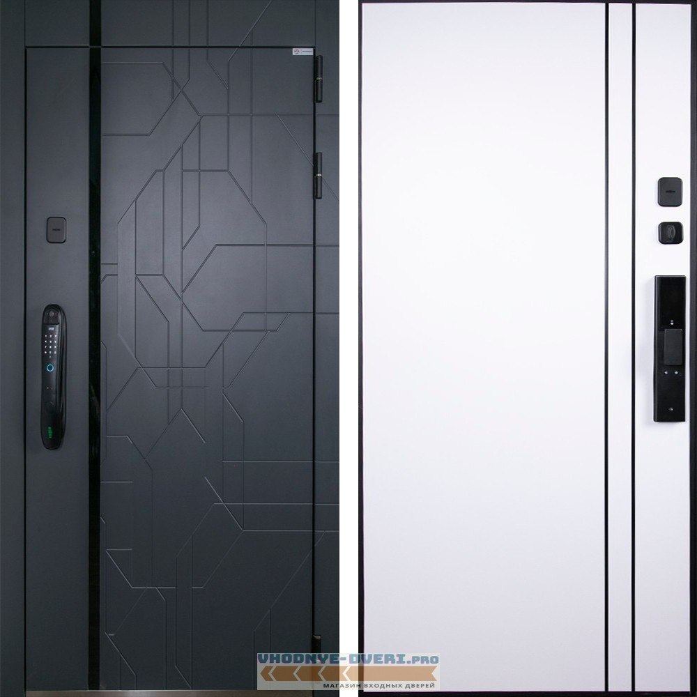 Стальная дверь "Forest" с зеркалом (биометрический замок Smart lock DZ 888)