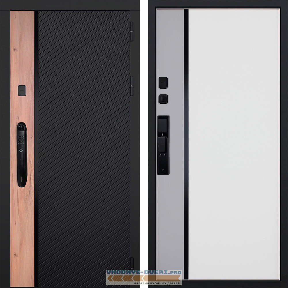 Стальная дверь "Фрегат" (биометрический замок Smart lock DZ 888)