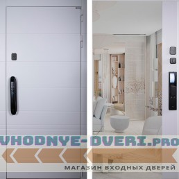 Стальная дверь "Горизонт" с зеркалом (биометрический замок Smart lock DZ 888) Стальная дверь "Горизонт" с зеркалом (биометрический замок Smart lock DZ 888)