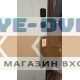 Стальная дверь "Ledo" (биометрический замок Smart lock DZ 888)
