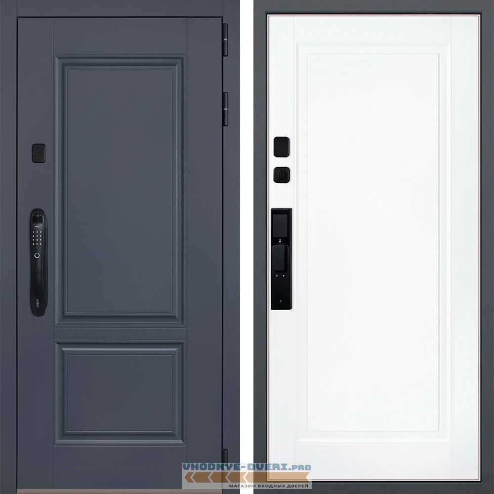 Стальная дверь "Ledo" (биометрический замок Smart lock DZ 888)