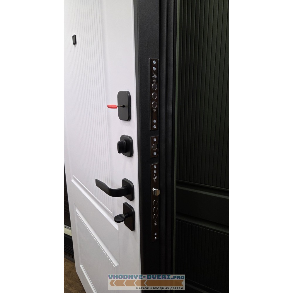 Стальная входная дверь АСД "Scandi"