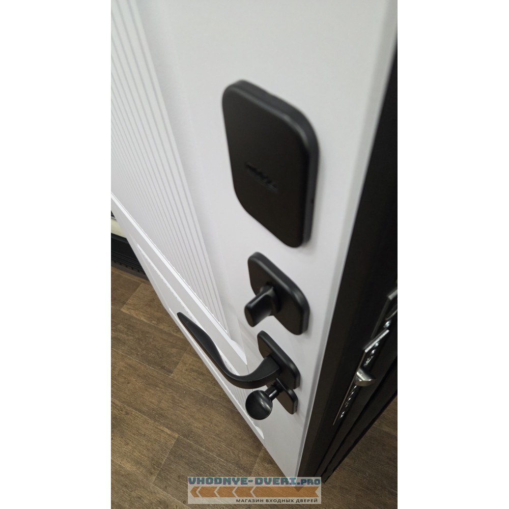 Стальная входная дверь АСД "Scandi"