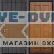 Входная дверь BN-09 с панелью ХОМС ФЛ-660 Голден оак