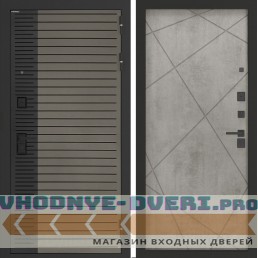 Входная дверь BN-15 с панелью ФЛ-291 Бетон серый (светлый)