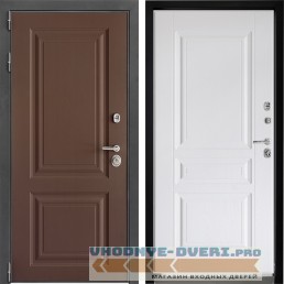 Входная дверь Дверной континент ДК-3 Ясень шоколад ФЛ-243 Альберо браш серебро (наружная)