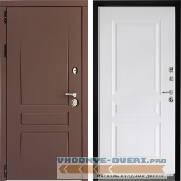 Входная дверь Дверной континент ДК-5 Ясень шоколад ФЛ-243 Альберо браш серебро (наружная)