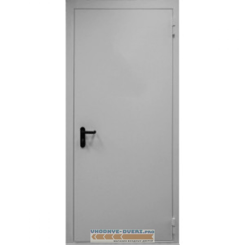 Противопожарная дымогазонепроницаемая металлическая дверь EIS 60