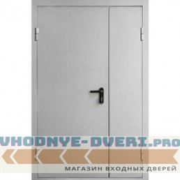 Противопожарная металлическая дверь EI 60 2050х1200мм