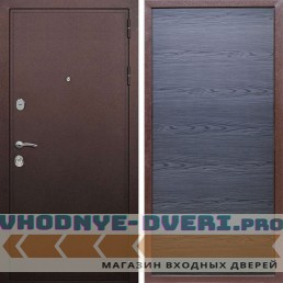 Входная дверь REX (Рекс) 5А Медный антик дуб тангент черный горизонт софт