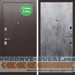 Входная дверь REX (Рекс) 5 металл 3мм медный антик ФЛ-290 бетон темный