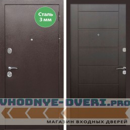 Входная дверь REX (Рекс) 5 металл 3мм медный антик сити 6 мм венге