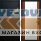 Входная дверь Плэй Зеркало дуб