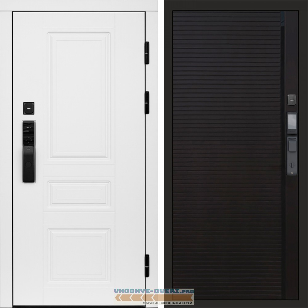Входная дверь  Smart (Смарт) Орегон White  Porte black