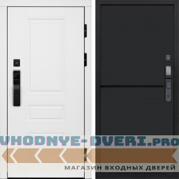 Входная дверь  Smart (Смарт) Орегон White  Нео Блэк