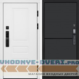 Входная дверь  Smart (Смарт) Орегон White  Нео Графит