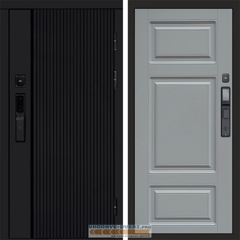 Дверь  Termo Door  Smart (Смарт) Твист Блэк (Black) Лион Grey софт