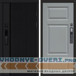 Дверь  Termo Door  Smart (Смарт) Твист Блэк (Black) Лион Grey софт