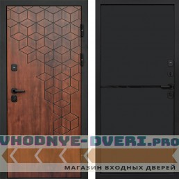 Дверь Termo Door Спейс дуб Нео Black