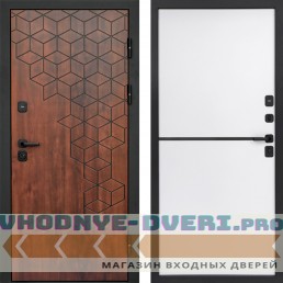 Дверь Termo Door Спейс дуб Нео White