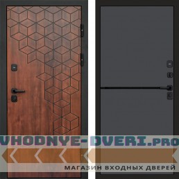 Дверь Termo Door Спейс дуб Нео Графит